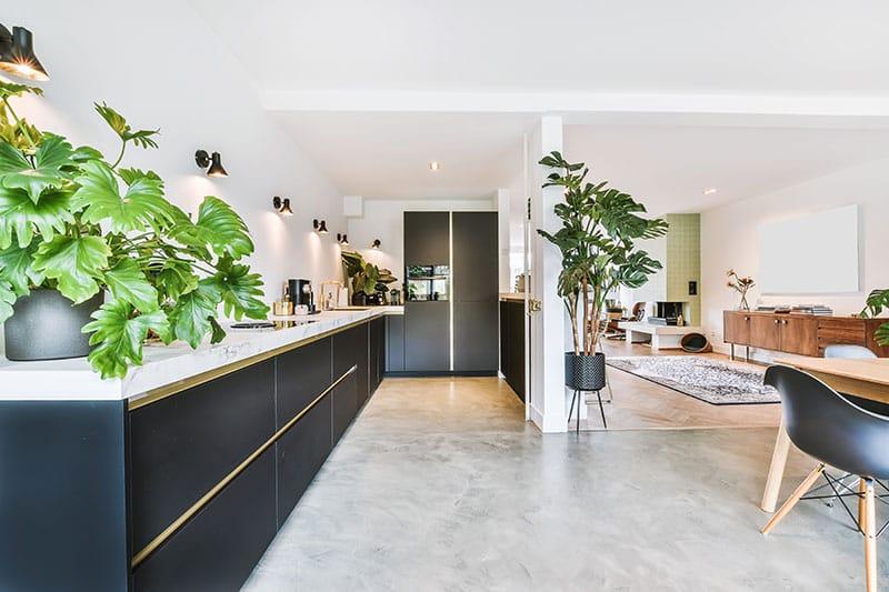 assurance emprunteur immobilier
